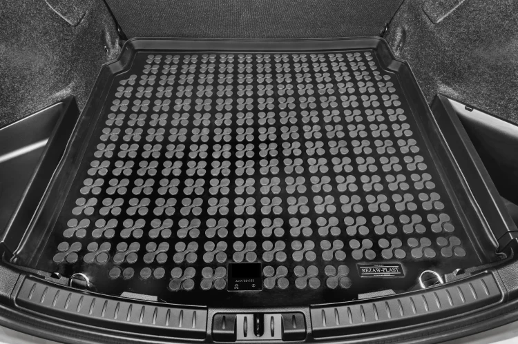 Auris-2.jpg